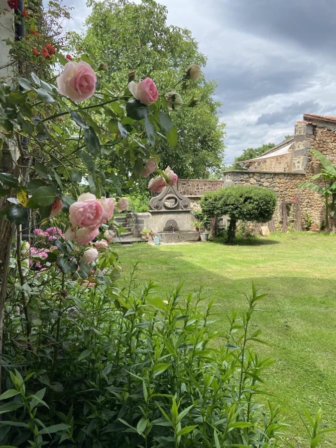 Gites Le Vieux Vinzelles โวลมิค ภายนอก รูปภาพ